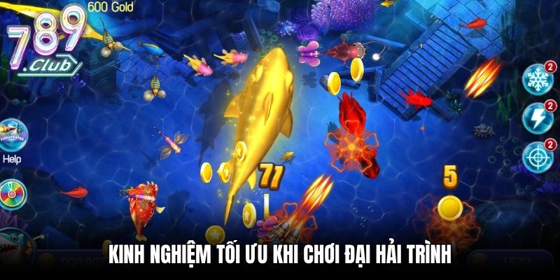 Kinh nghiệm tối ưu khi chơi Đại Hải Trình
